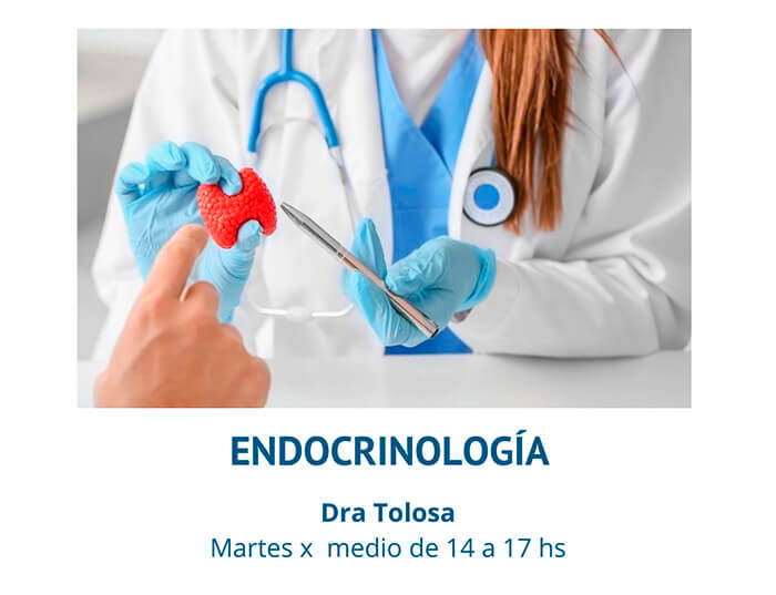 Endocrinología Tolosa